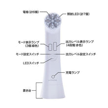 將圖像加載到圖庫查看器中,{{ imageAlt </ p5>